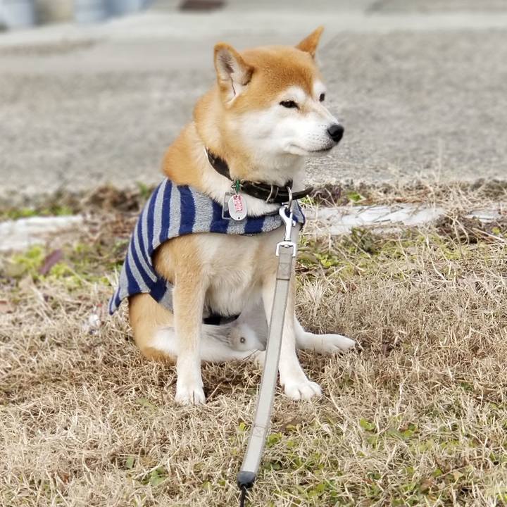 C33d9d33 02ba 4186 81cb 652973403dae 1512904289121