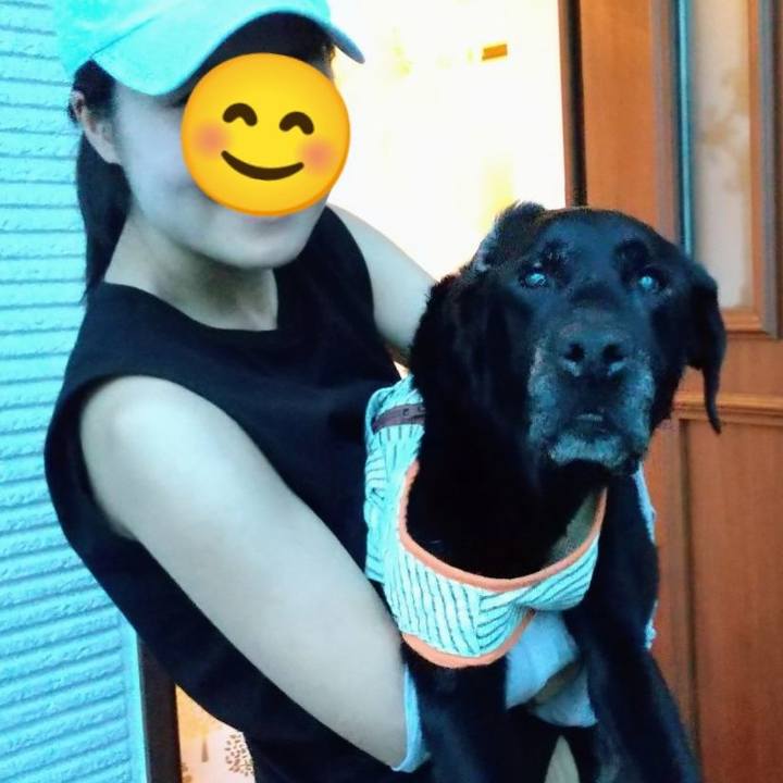 C33df527 a935 4ba4 a9e7 ab2fb001e184 1720355408585