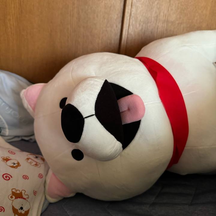 C33e1ec9 2053 416d 9df7 9b7c6a5dc871 1722986127399