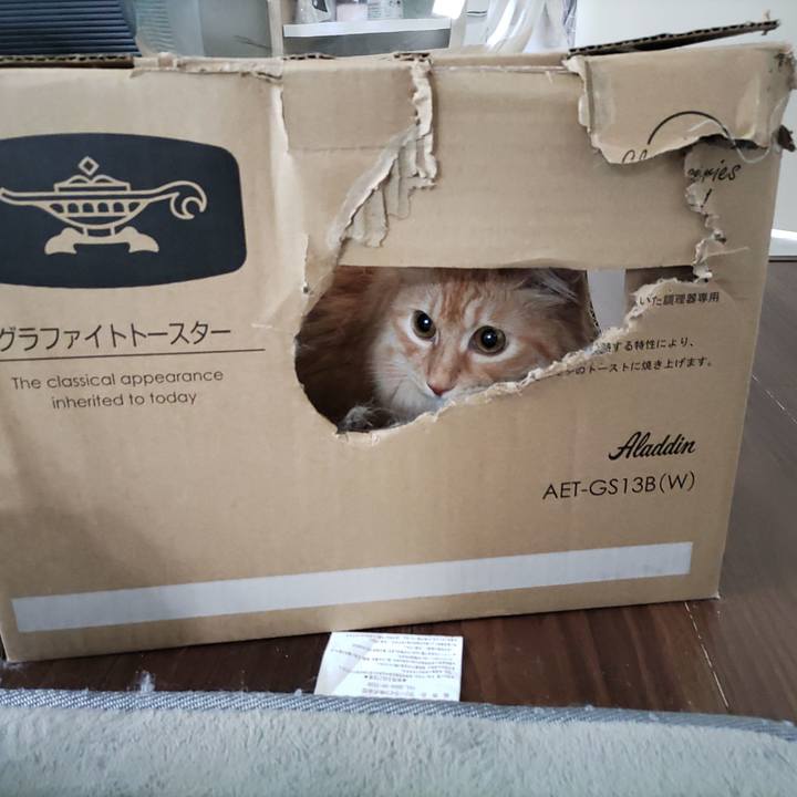 C33e3374 283a 42dc b804 761ffa4175e3 1657593199812