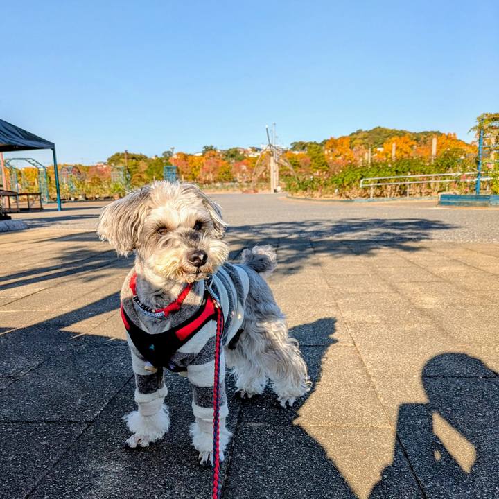 C33e3fca 594e 41f0 8acd 61cbd18dae7b 1764422063055