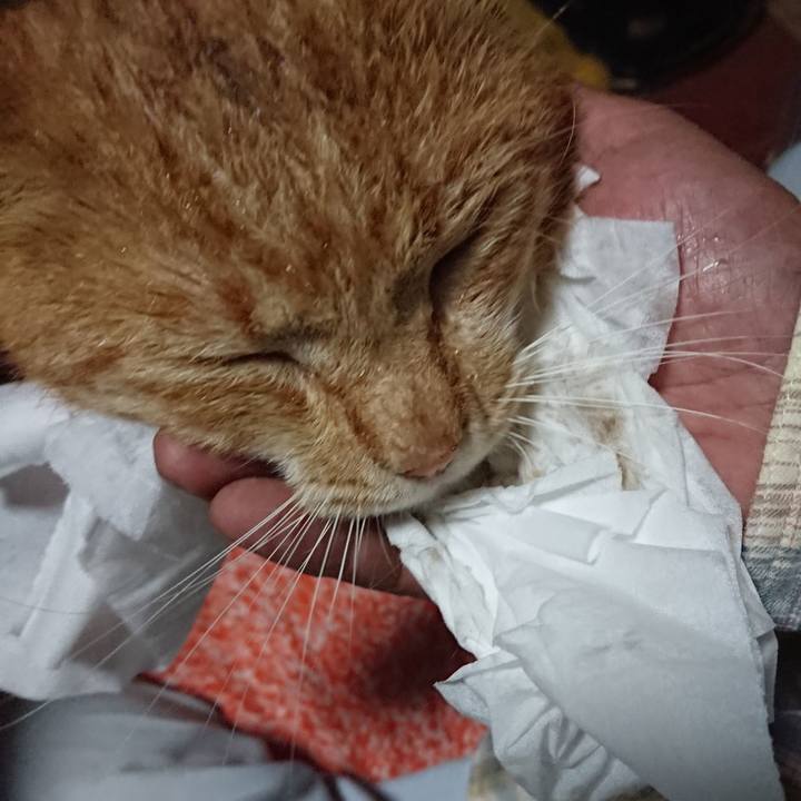 C33e5c1c 68bd 499e ac09 c5e8a0376947 1570739716781