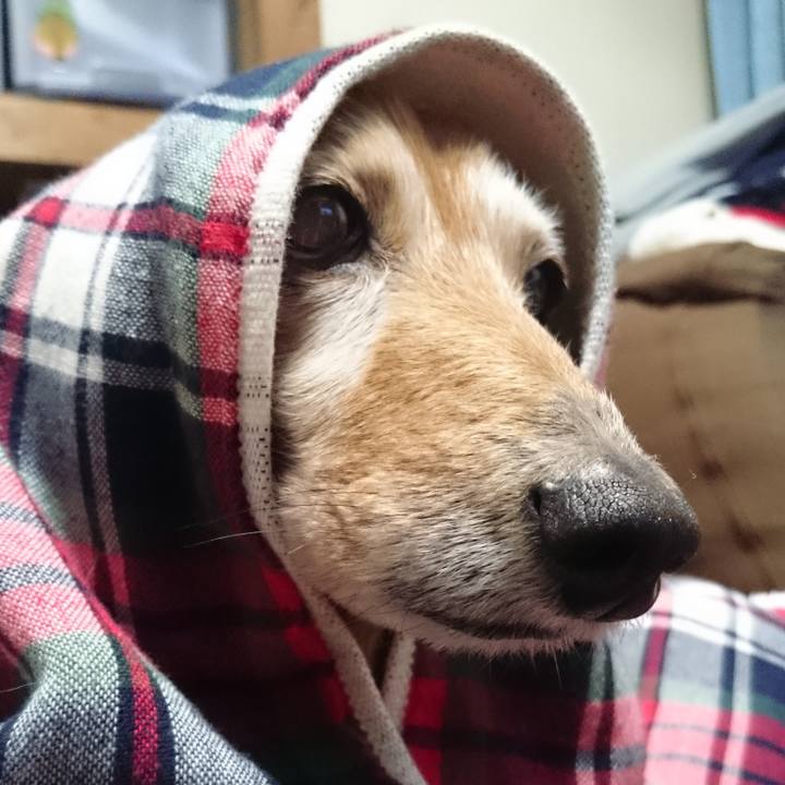 C33e6f01 7b8d 423b 956f f7f119f26d5a 1604074837147