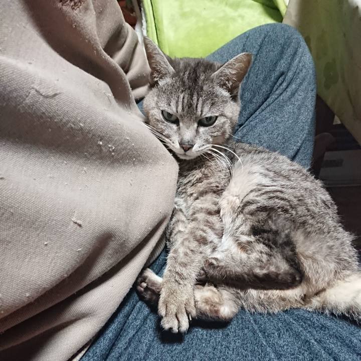 C33e72e8 165c 411c a19f f57bb23ab5be 1588276797097