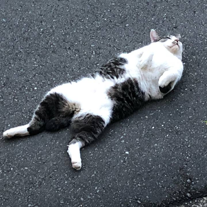 C33ea280 752a 4ffd ba43 0c6cd707c705 1567428822154