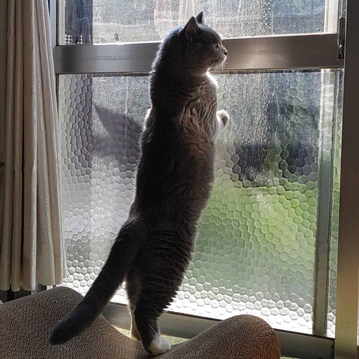 C33ea379 2936 43eb a3ad 2d8bf22b01a5 1627170045535