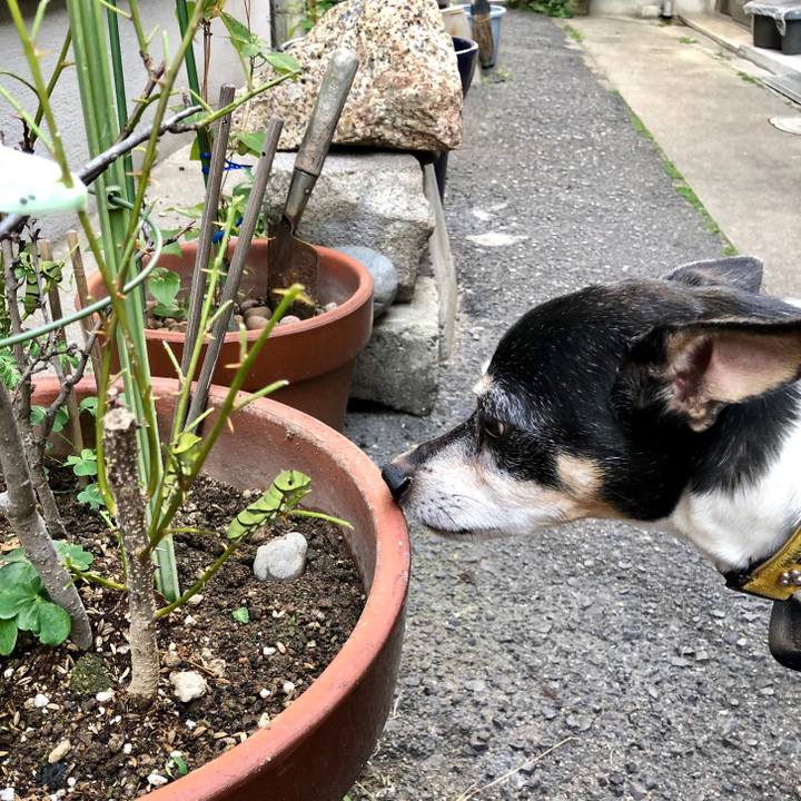 C33ea41e 0250 4bd2 9c57 36bbdd621678 1557651259327