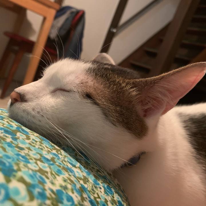 C33f7f01 b8f3 493e aee0 d14e3cb31bb5 1625898181212