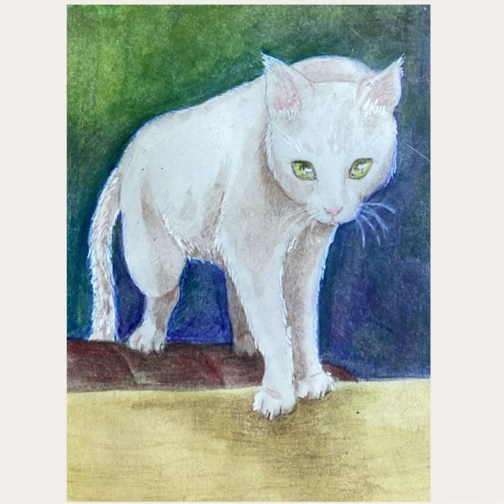 C33fab11 8fbd 41e8 8b13 446e112e5f47 1675942042669