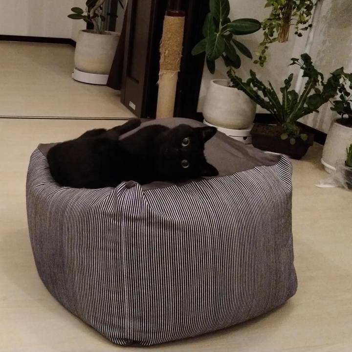 C33fc34e 36be 4430 a508 c051b9fadcec 1765544965254