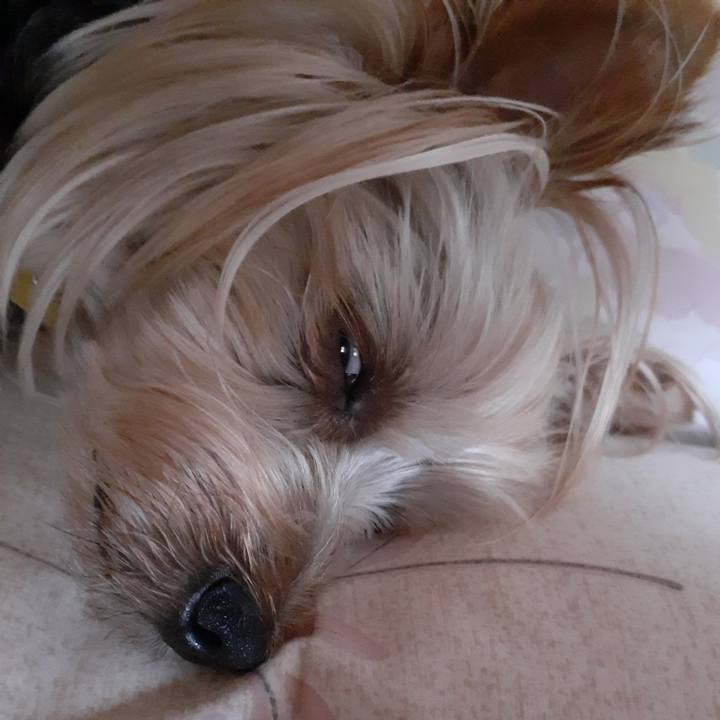 C3403a45 1272 4c29 b381 891d567ff980 1625641715179