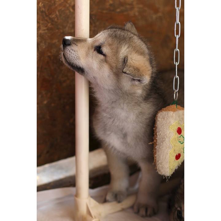 C3406ca6 0e49 46ad 96bc 449bc5e29fd9 1550575899693