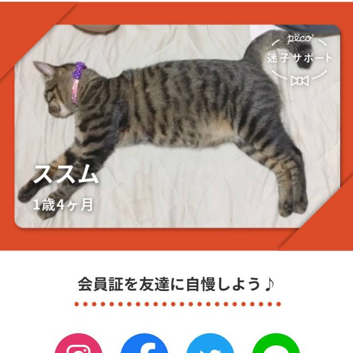 C340809f 91af 44ca 8673 11f74046eb88 1569841442343