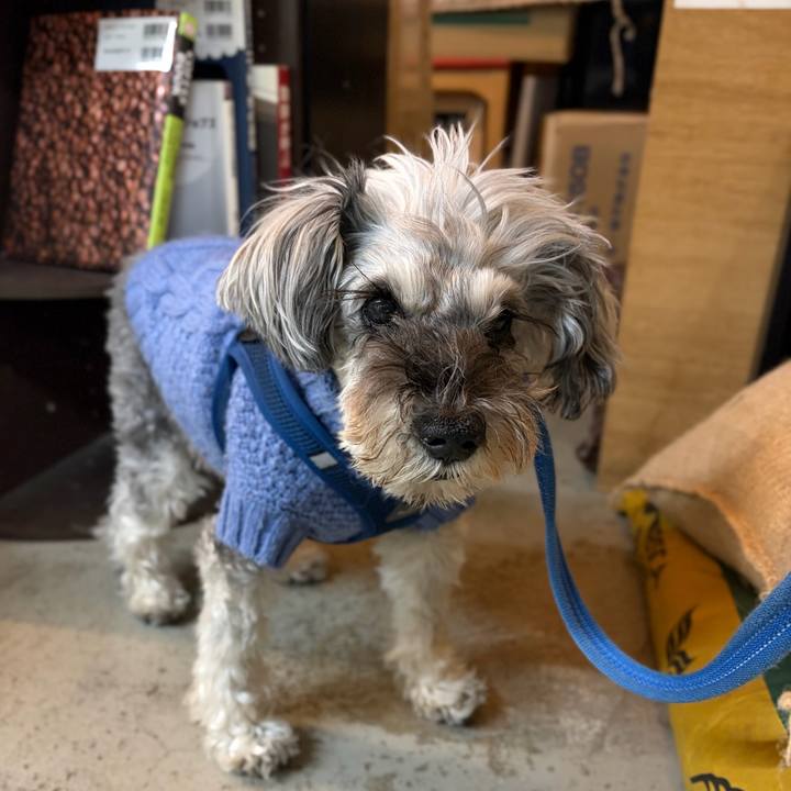 C340b5ce 7d27 46b6 84c4 c9fe5c5f9cec 1768999261531