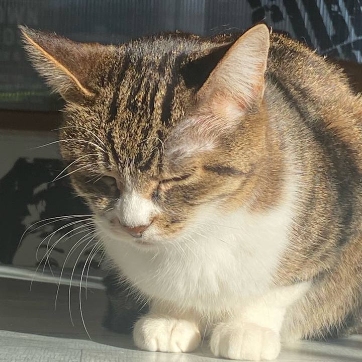 C340c6f3 8d50 4306 b369 434514b9a0aa 1673295630769