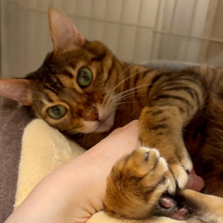 C340d04b 02df 441b 9788 7b298395c971 1672540655774