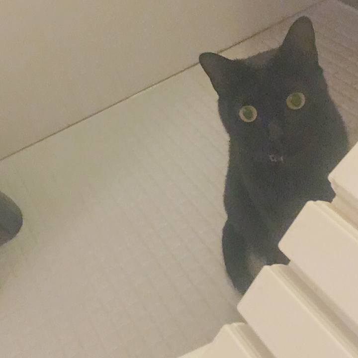 C340d155 e44a 4d43 8585 6c39ee740d6d 1538657971814