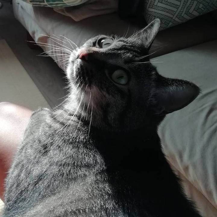 C340d176 e34e 47a3 a80d 0d66915aed41 1558848051085