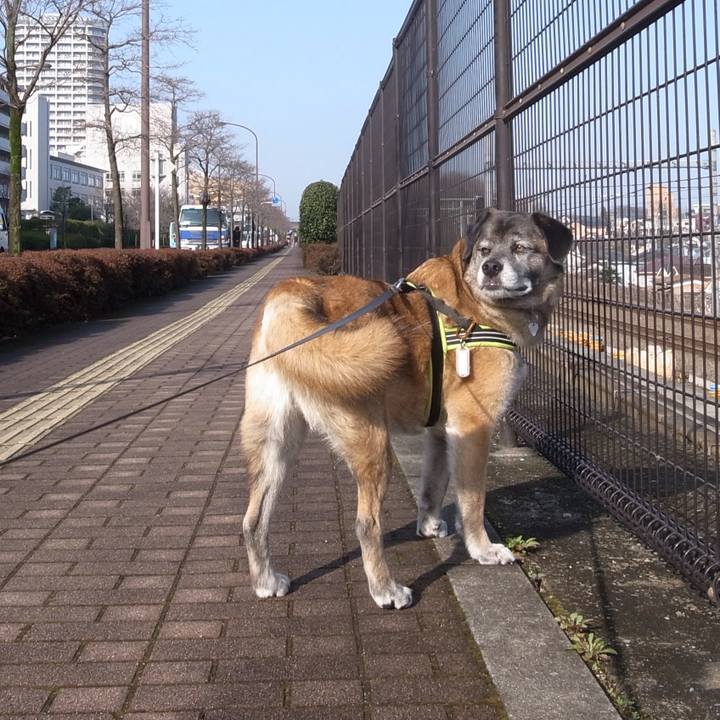 C340d209 0f31 46d4 abf4 3c2aa294dab7 1584840468817