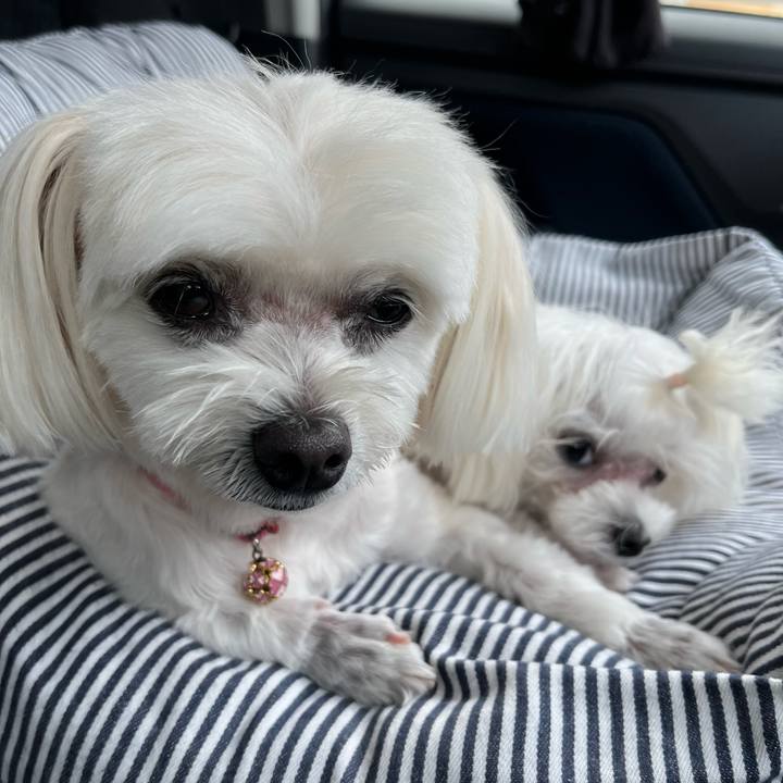 C340da3f 997d 4c81 a2db 35d07f342e17 1728358564909