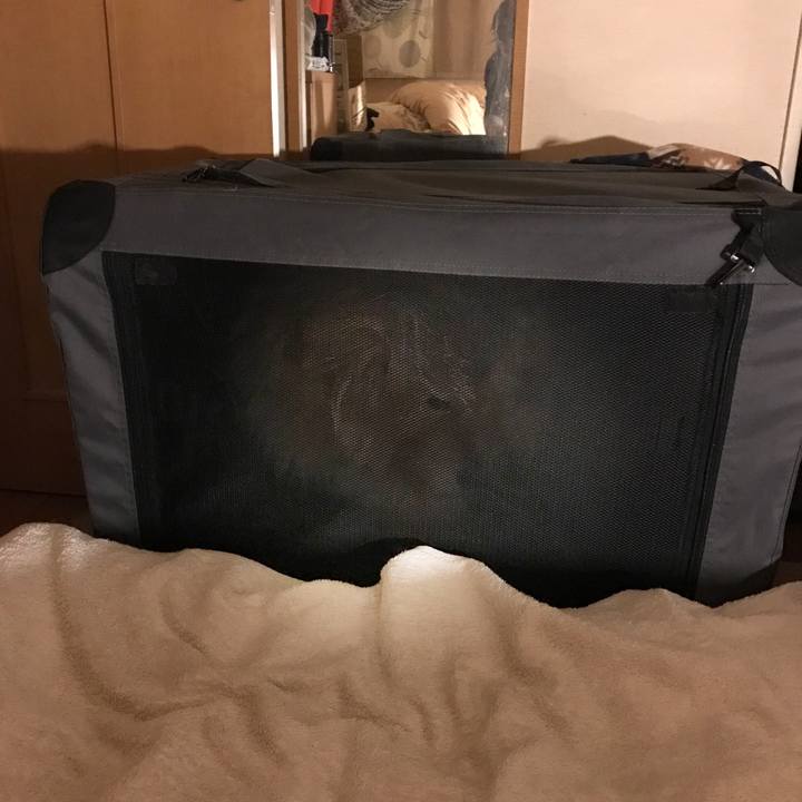 C340f173 d338 4559 a801 af624e629700 1678243644166