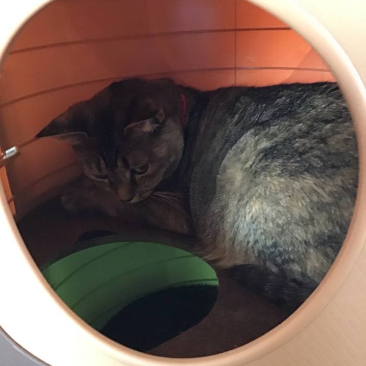 C3411ce5 a06a 4b7c 836b 2aeb240f7a86 1685163994806