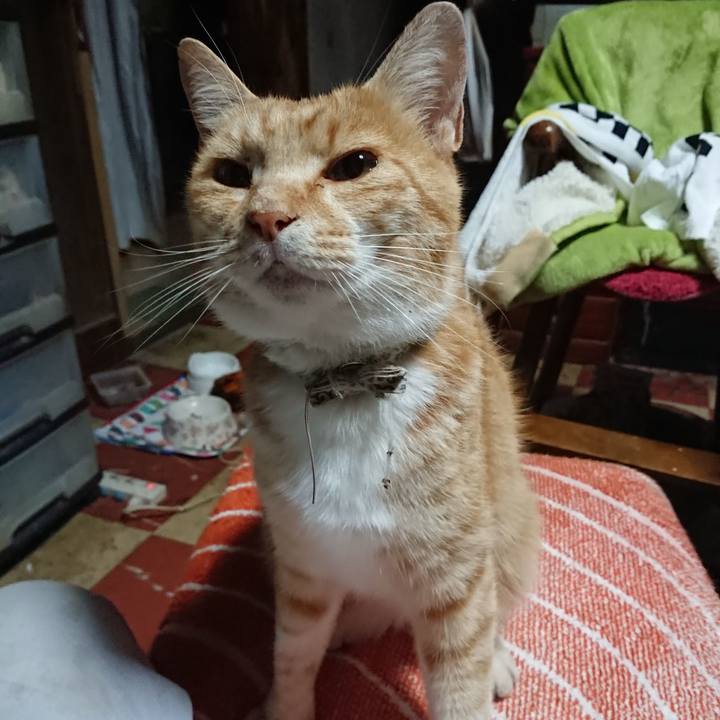 C34179c3 617a 4e38 9411 59db13fea30e 1591989190867