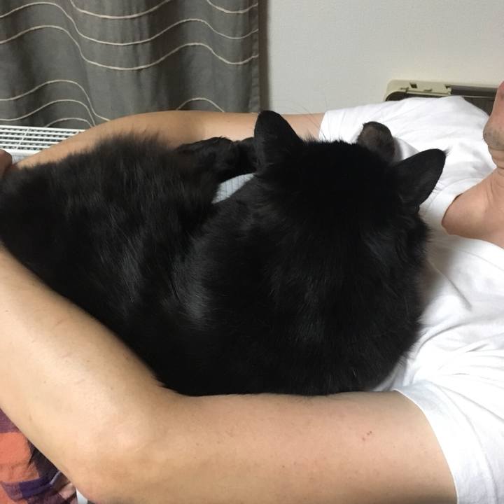 C3418623 c033 4f37 923f a6c5442e3cf3 1527271149856