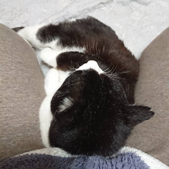 C3418d54 1527 4d55 bd78 14183d74555e 1649942044830