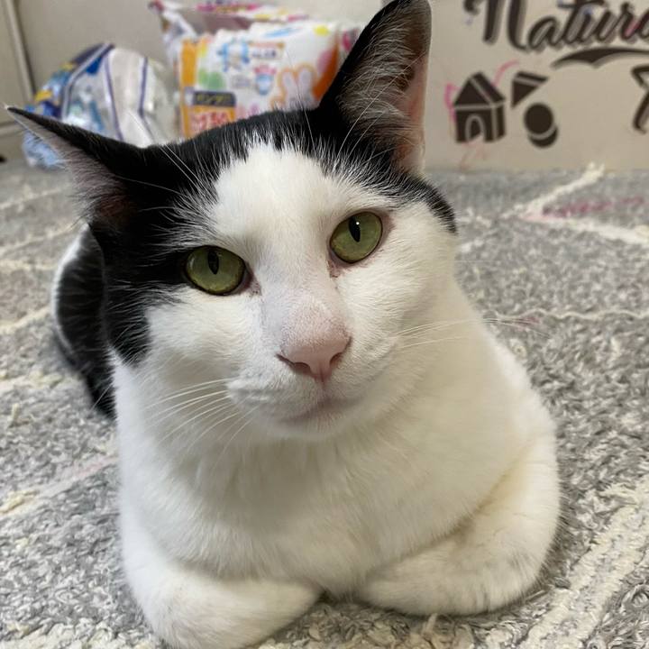 C34196a6 9979 4585 abc3 3aad6eadd6fe 1654156715950