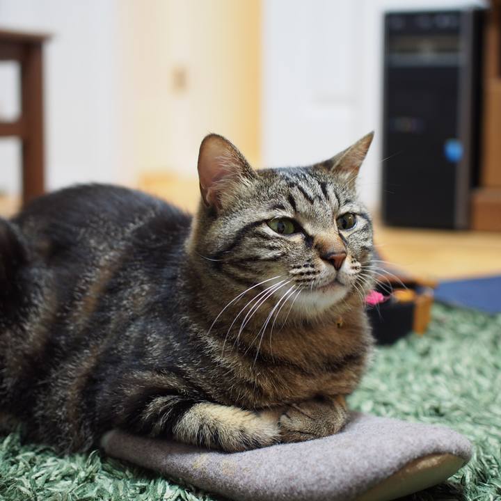 C341bf83 6628 451b a8a1 a973679e2686 1593747570144