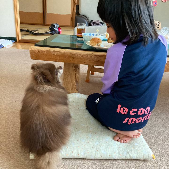 C341f671 429a 4d5d acec 1bdad9a8f8ba 1687299026451