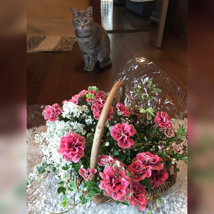 C3420e73 4732 46f6 ac16 615642d81650 1621261585476