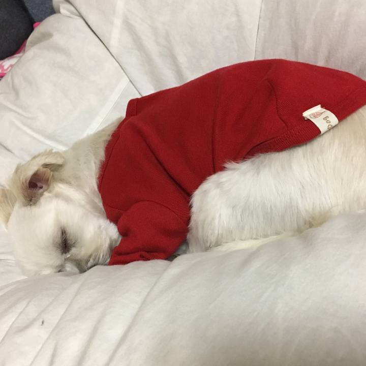 C34210a9 b4dd 470e bf6f d423c5ba65f5 1511270532540