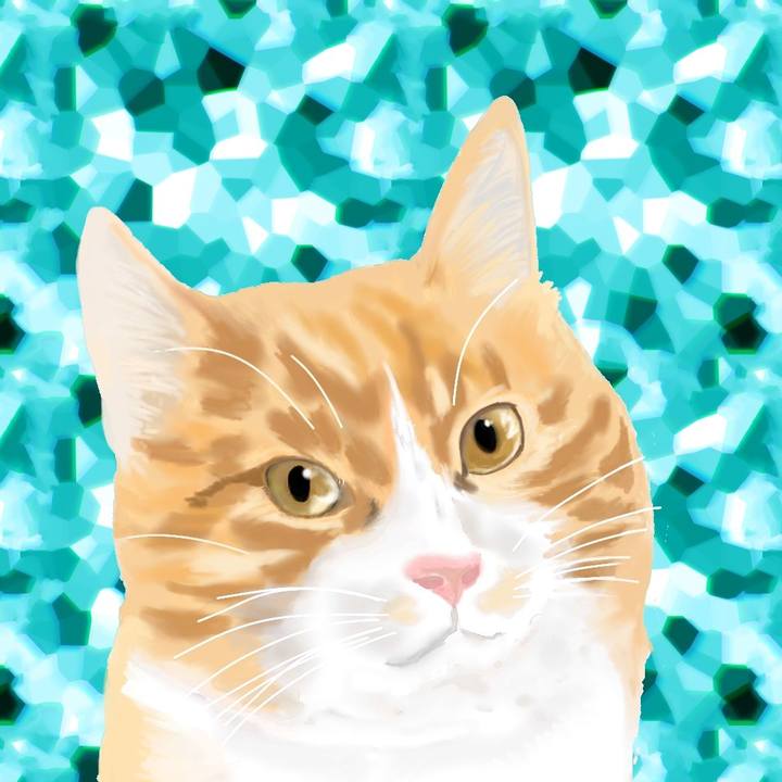 C3421418 a42f 434a 8591 38d9e47e167e 1654351820085