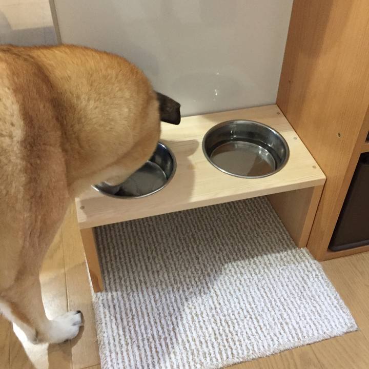 C3421ca8 fe3d 4a97 9f16 8db7bcc5fd9f 1517105749281