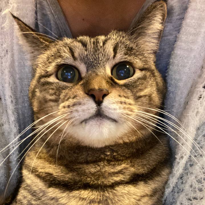 C3423b62 05e7 4c69 b2a5 716d0d6c5b53 1699683259615