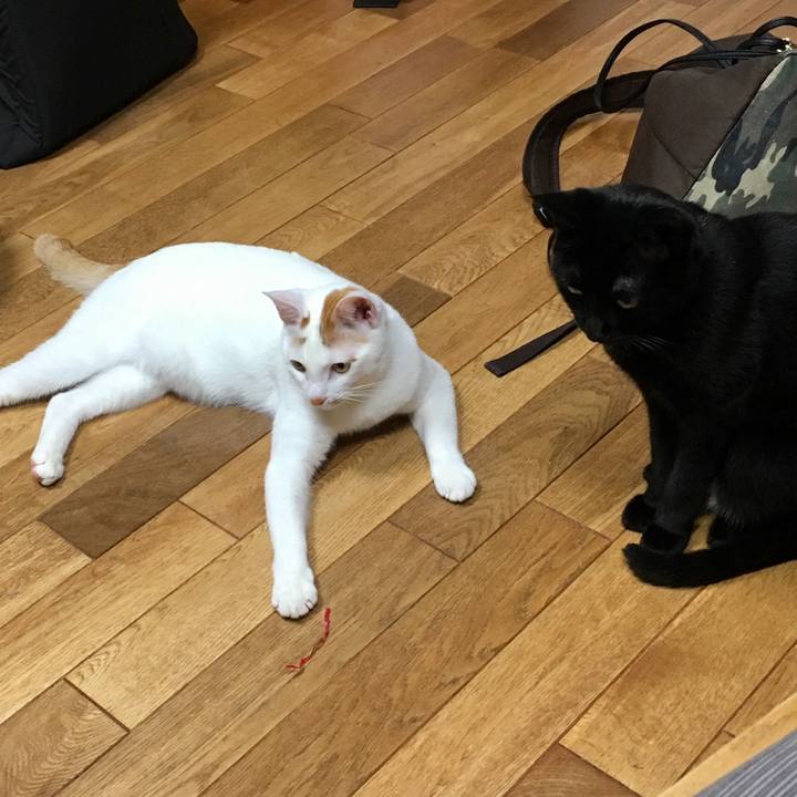 C342879b ae11 47b5 a28f e25061d4d8c4 1522728656249