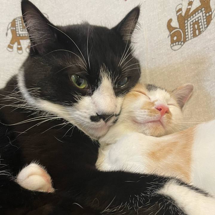 C3429f30 c354 41e0 a638 9b731fae0035 1699928025682