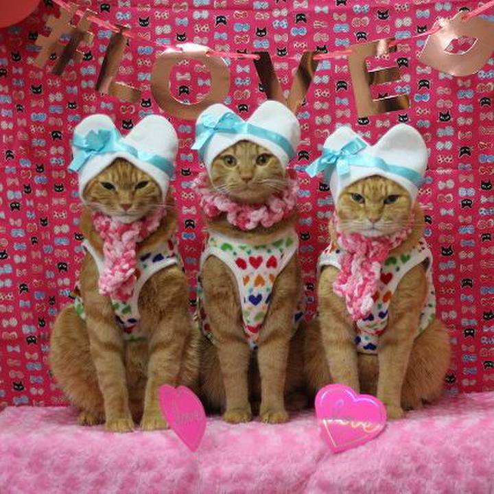 C342a3c8 9568 4f3f ad00 78b65ebb1107 1581647769067