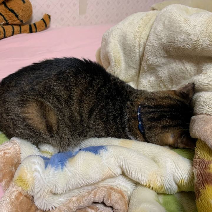 C342d42f 6f5f 4f7d b2cf abb4ab63a3b3 1604400493832