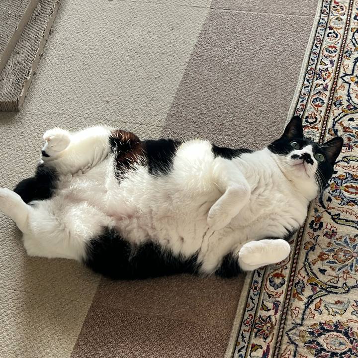 C343042b d5f9 4078 a57b 7b5c228c7285 1762816581327