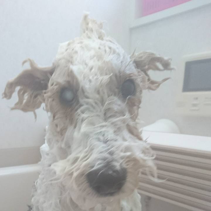 C343159b 6065 4f36 b6f6 ccf9a02dab6a 1513228098949