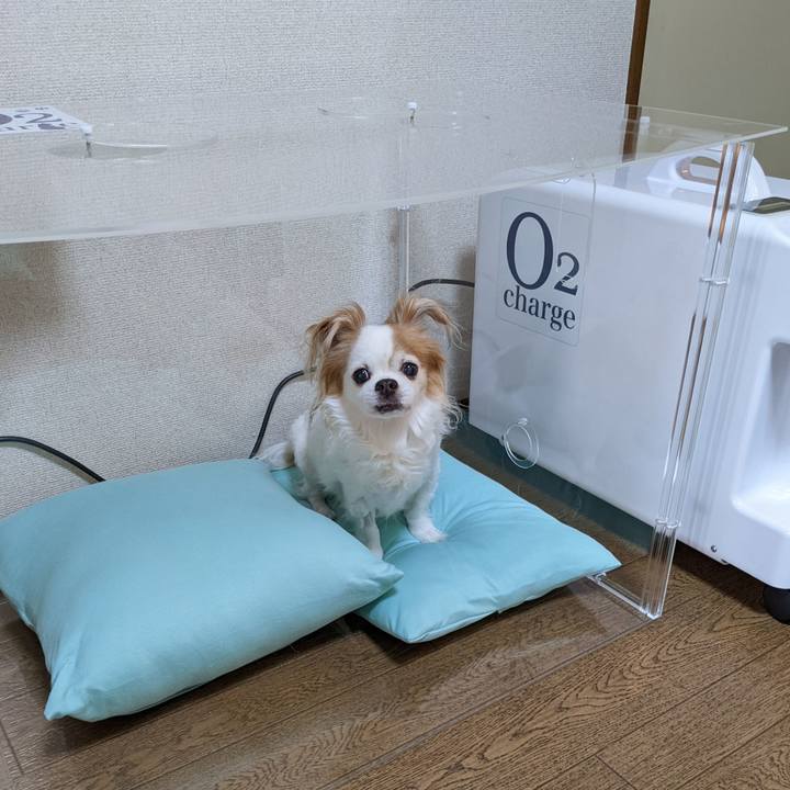 C3431e7d 4801 447b a109 57e182677ea6 1650687810027