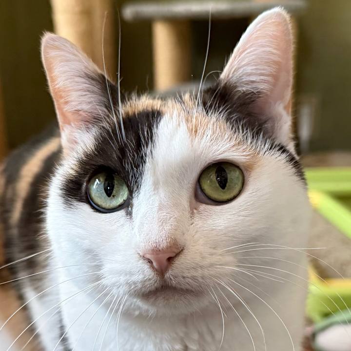 C34328b8 9774 4190 9e09 ee4bf991b045 1771636097170