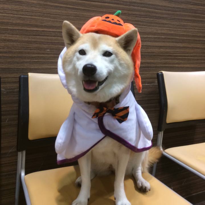 C3434d64 0b92 4323 921f 5267b0978af7 1570112377646