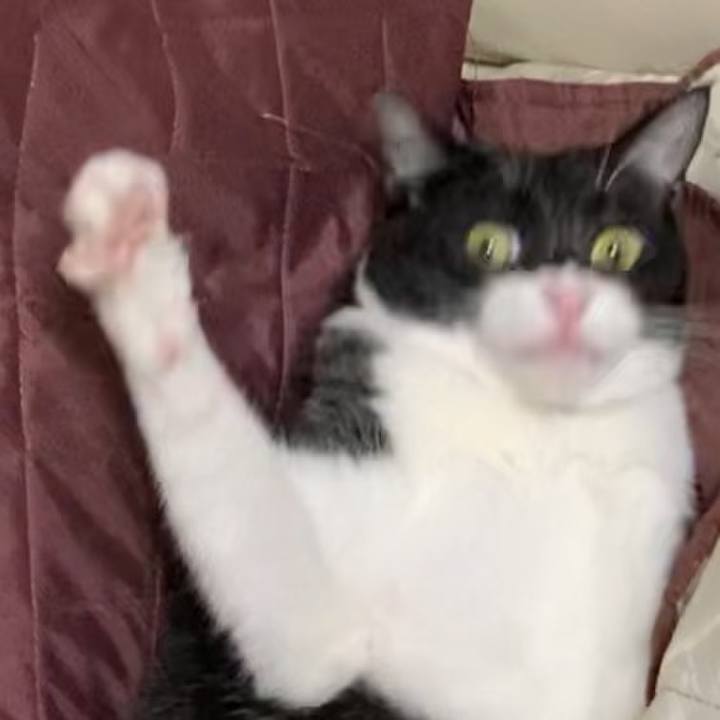 C343994c cdcb 4288 9171 59e29abada5a 1618218966917