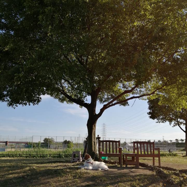 C343d625 4ab8 4e1e b82c 9bc09d14da1f 1588851664337