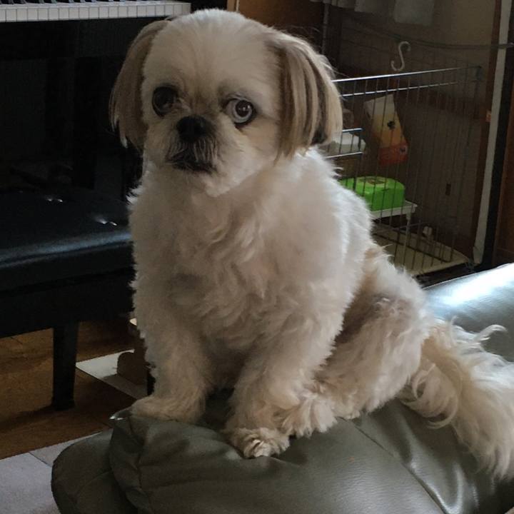 C343d62d 460a 4d94 ba5d 21319cdf3235 1593679418561