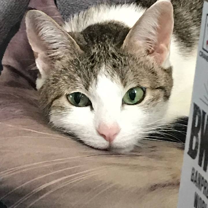 C343d9f8 1198 410d 90df 2e9fc9df2009 1756528224325